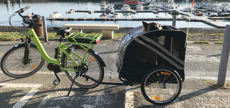 location de vélos à Belle-Île avec remorque animaux